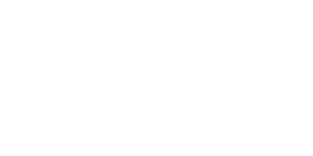 Finanzen100